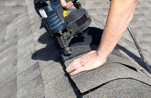 Best Asphalt Shingle Roofing  in Malden, MO